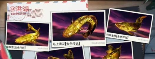 欢乐钓鱼大师怎么钓黄金鱼骨-钓黄金鱼骨方法